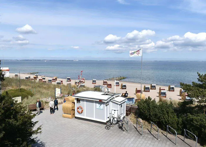Seestern Nr 05